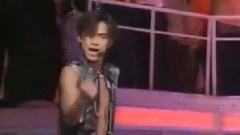 V6 - ジャングル