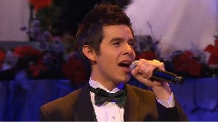 David Archuleta - Glad Christmas Tidings