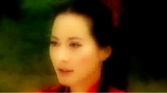 吴京,HITA - 枯叶之蝶