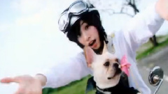 王心凌 - Fly Cyndi