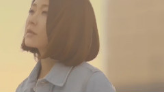 路上の鳥