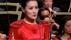谭晶 - 在和平年代 江山如画