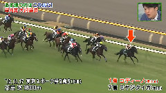 日本群星 - うまズキツ!Uma Love TV