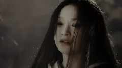 陈瑞,音乐短片 - 白狐