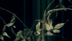 Wolf People - Empty Vessels