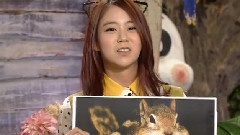 Kara,韩昇延(KARA) - SBS TV 动物农场