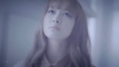 TRAX - 窗
