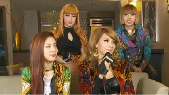 2NE1 - Interview On Their First American Concert