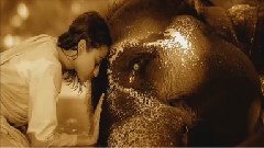 Enigma - Beyond the Invisible