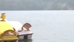 风景 - 洪湖随想曲