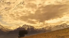 Leo Rojas - White Arrows