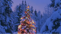 Gheorghe Zamfir - Silent Night