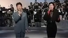 邓丽君,日本群星 - 時の流れに身をまかせ