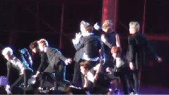 EXO,EXO-K,EXO-M - Wolf