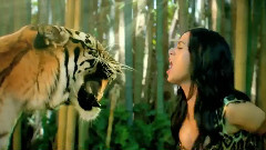 Sara Bareilles,Katy Perry - Brave Roar