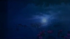 Chris Spheeris - Allura