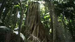 Enya - The Memory Of Trees