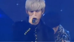 B.A.P - 1004