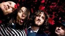 Red Hot Chili Peppers - Red Hot Chili Peppers - Brendan's Death Song 高清官方版