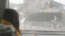 ℃-ute, - ℃-ute《你骑自行车 我坐火车回家》 高清官方版