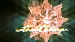 Enigma - The Same Parents