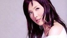 卫兰 - 卫兰《他不惯被爱》