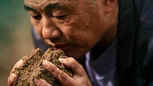 耿为华 - 耿为华《最美是故乡》官方版
