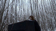 Susanne Sundfør ,泰勒·斯威夫特 - Susanne Sundfør - White Foxes 高清官方版