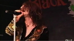 The Black Crowes - Stare It Cold