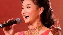 宋祖英 - 宋祖英《洪湖水浪打浪》 现场版