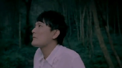张信哲 - 好像爱情