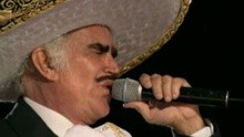 Vicente Fernández - Vicente Fernández作品