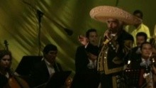 Vicente Fernández,Ricardo Arjona - Por Un Amor (En Vivo) 现场版