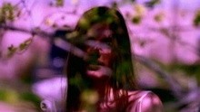 Bruce Springsteen,Chayanne,Pink - Secret Garden