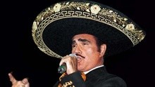 Vicente Fernández - Vicente Fernández - Motivos