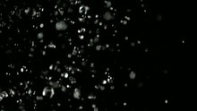 blu::elements project - Macroscopy 