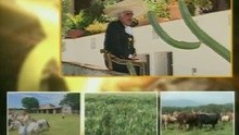 Vicente Fernández - Camino Al Cielo