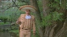 Vicente Fernández,夏奇拉 - Que Dios Te Pague