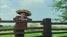 Vicente Fernández,夏奇拉 - Necesito De Ti