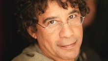 Laurent Voulzy parle de……