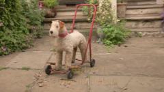 Camera Obscura - Break It To You Gently