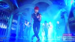 BEAST - Shadow