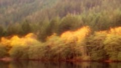 Andre Rieu - Les Feuilles Mortes