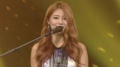 AOA - MOYA