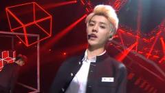EXO,EXO-K,EXO-M - Growl