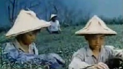 甄妮 - 鲁冰花
