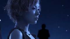椎名林檎 - カーネーション