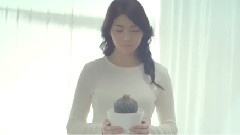 仙人掌