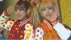 Tiny-G - Minimanimo