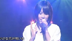 前田敦子 - Flower